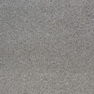 STAINMASTER Active Family Oak Grove Gray Cut and Loop Indoor Carpet