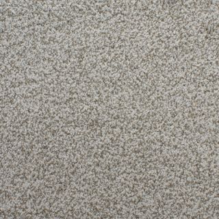 STAINMASTER Active Family Huntington Heights Gray Textured Indoor Carpet