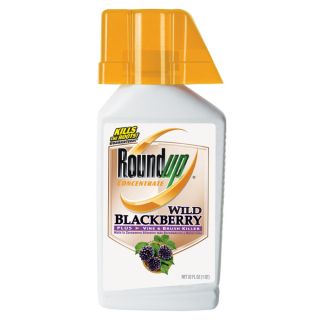 Roundup 32 oz Roundup Concentrate Wild Blackberry Plus Vine & Brush Killer