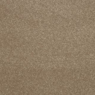 Shaw 7L52400102 Brown Textured Indoor Carpet