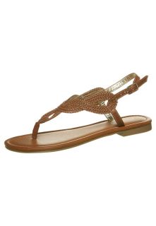 ALDO   MOCHUDI   Flip flops   brown