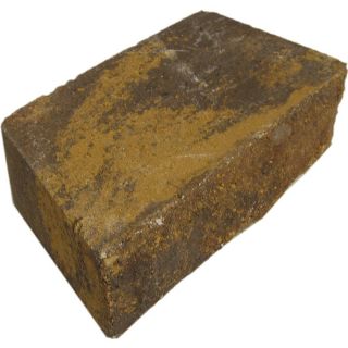 allen + roth Cassay Harvest Blend Chiselwall Retaining Wall Block (Common 12 in x 4 in; Actual 12 in x 4.1 in)
