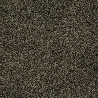 STAINMASTER Trusoft Peaceful Mood I Cypress Textured Indoor Carpet