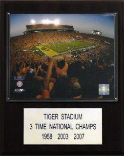 NCAA Football Tiger Stadium Stadium Plaque  Sports & Outdoors