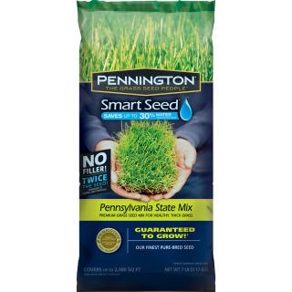 Pennington Smart Seed 7 lb Sun and Shade Ryegrass Seed Mixture