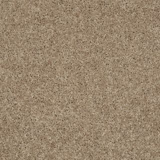 Shaw 7L53000700 Brown Textured Indoor Carpet