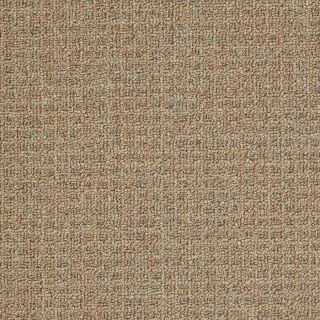 Shaw Casual Breeze Clay Pot Outdoor Carpet