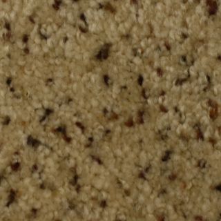 STAINMASTER Solarmax Westwind Security Textured Indoor Carpet