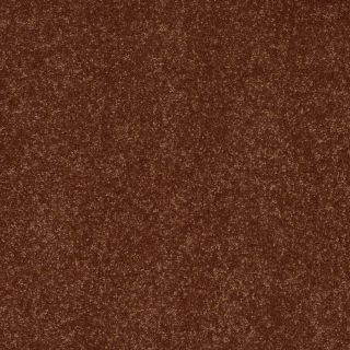 Shaw Intuition II Copper Kettle Textured Indoor Carpet