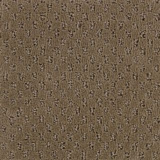 STAINMASTER Solarmax Brown Fashion Forward Indoor Carpet