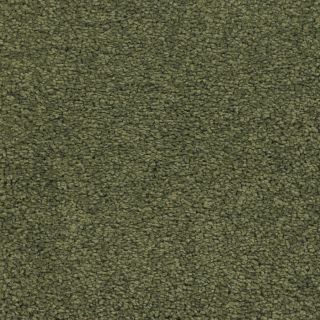 Dixie Group Trusoft Chimney Rock Green Textured Indoor Carpet