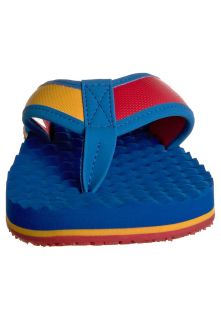 The North Face BASE CAMP   Pool shoes   blue