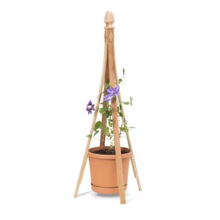 Garden Treasures 24 in W x 52 in H Natural Obelisk Garden Trellis