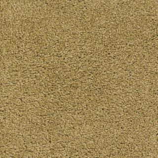 Dixie Group Trusoft Chimney Rock Yellow Textured Indoor Carpet
