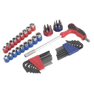 Project Source 47 Piece Drive Tool Set with T Handle
