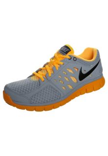 Nike Performance NIKE FLEX 2013 RN   Lightweight running shoes   grey
