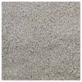 Dixie Group Trusoft Briar Patch Gray Cut Pile Indoor Carpet