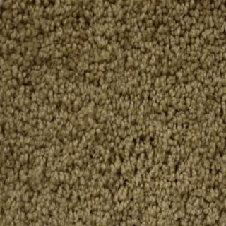 Looptex Mills Essentials Nitro Tan Textured Indoor Carpet