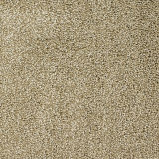 Dixie Group Trusoft Shafer Valley 107 Brown Cut Pile Indoor Carpet
