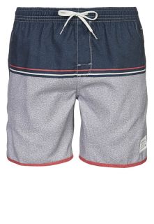 DC Shoes   FAVOUR   Swimming shorts   grey