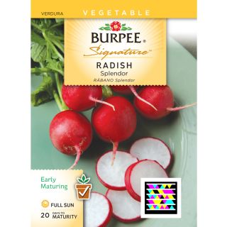 Burpee Radish Vegetable Seed Packet
