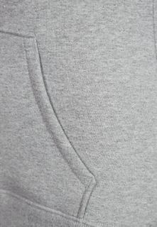 The North Face DREW PEAK   Hoodie   grey