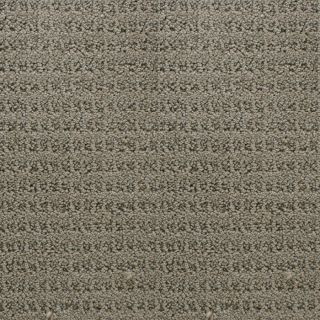 STAINMASTER Active Family Royal Livingstone Gray Level Loop Pile Indoor Carpet