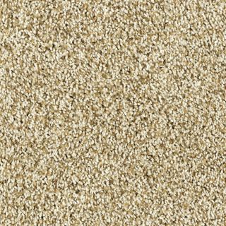 Shaw Soft & Cozy III White Washed Textured Indoor Carpet