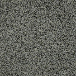 Shaw Refuge Mineral Gray Outdoor Carpet