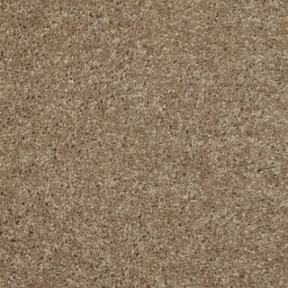 Shaw 7L52800204 Yellow Textured Indoor Carpet