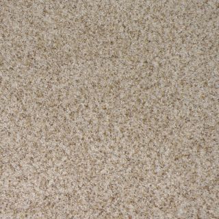 STAINMASTER Stanfield Pebble Beach Cut Pile Indoor Carpet