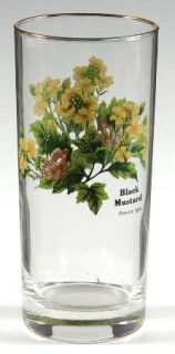 Royal Worcester Worcester Herbs Green Trim 14oz Glassware Highball, Fine China D