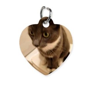 crazy cat sitting on toilet set Pet Tag by ADMIN_CP112790646