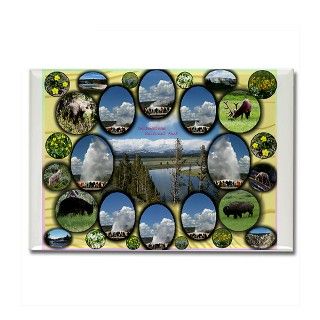 Yellowstone Park Rectangle Magnet by tinastscupsandmore