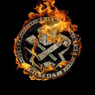 hunger games district 2 flames Silver Round Ch by movieandtvtees