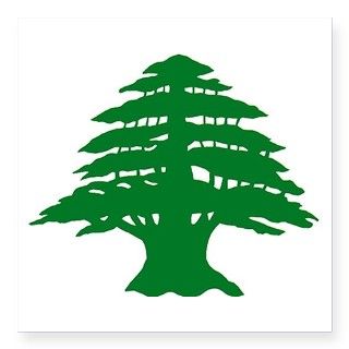 Cedar Tree of Lebanon Oval Sticker by Admin_CP14168840