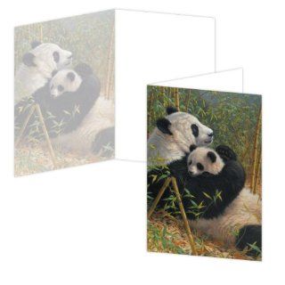 ECOeverywhere A New Dynasty Boxed Card Set, 12 Cards and Envelopes, 4 x 6 Inches, Multicolored (bc11513)  Blank Postcards 