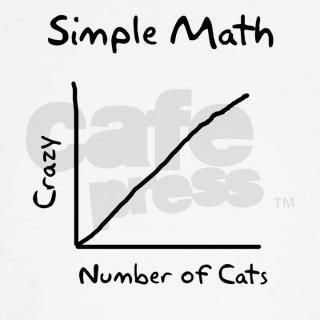 Simple math crazy number of cats Long Sleeve T Shi by HeyThatsPunny2