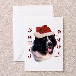 Santa Paws landseer Newf Greeting Cards (Pk of 10) by denofthedog