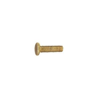 12 Fitter Screws in Polished Brass