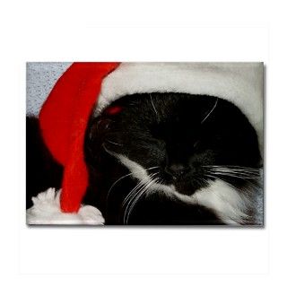 Little Christmas Cat Rectangle Magnet by fyfephotography
