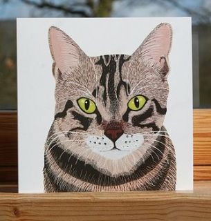 cat collection 'tabby' greeting card by bird