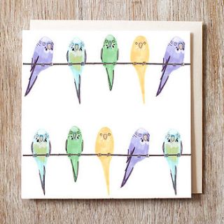 budgies greetings card by jo clark design