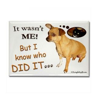 It Wasnt ME Funny Chihuahua Magnet by divinephotogift