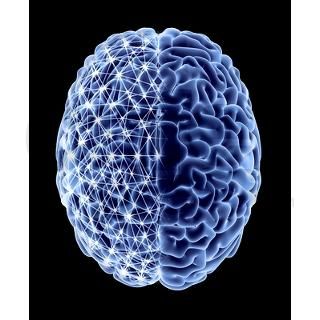 Brain, neural network   Silver Portrait Necklace by sciencephotos