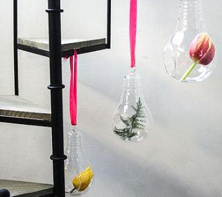lightbulb, glass hanging vase by bonnie and bell