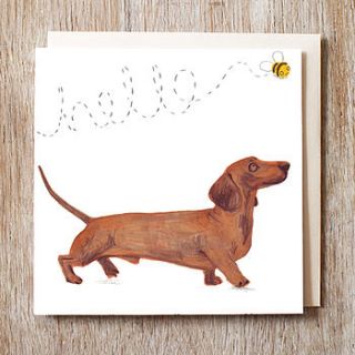 dachshund sausage dog card by jo clark design