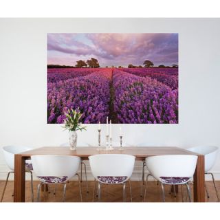 Brewster Home Fashions Komar Lavender Wall Mural