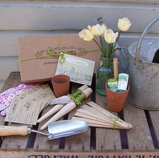 vegetable garden gift box by pinks and greens