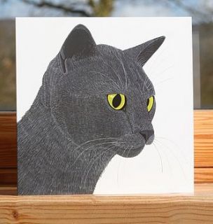 cat collection 'smokey' greeting card by bird